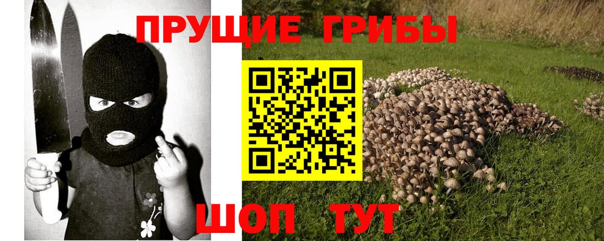 Галлюциногенные грибы MAGIC MUSHROOMS Шебекино